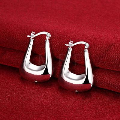 Luxury Brass Hoop Earrings EJEW-BB10512-1