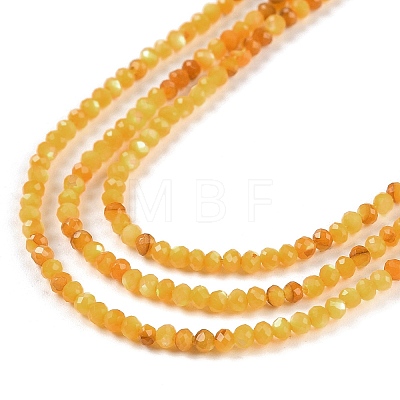 Natural Yellow Shell Beads Strands BSHE-G036-09A-1