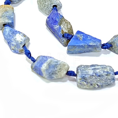 Natural Lapis Lazuli Beads Strands G-G697-E09-01-1