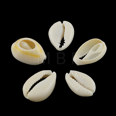 Natural Mixed Cowrie Shell Beads X-BSHE-S052-01-1