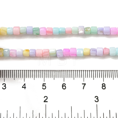 Rainbow Color Dyed Natural Freshwater Shell Beads Strands SHEL-G018-02D-1