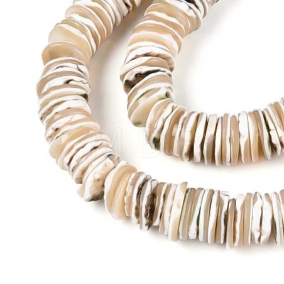 Luminous Natural Seashell Shell Beads Strands SSHEL-T017-34-1