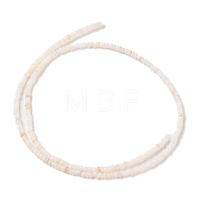 Natural Freshwater Shell Beads Strands SHEL-P017-01A-02-1