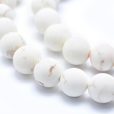 Frosted Natural Magnesite Beads Strands TURQ-G148-10-10mm-1
