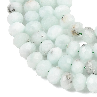 Natural Gemstone Beads Strands G-C259-A18-5x8mm-1