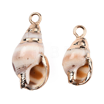 Electroplate Spiral Shell Pendants SSHEL-T006-13-1