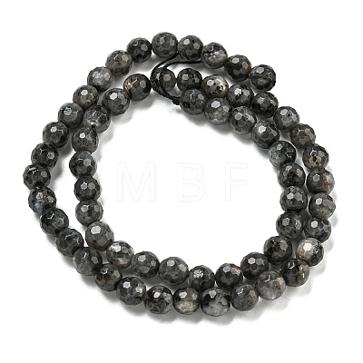 Natural Larvikite Beads Strands G-E571-A09-01-1