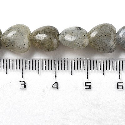 Natural Labradorite Beads Strands G-P528-C05-01-1