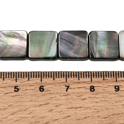 Natural Black Lip Shell Beads Strands SHEL-A006-09B-1