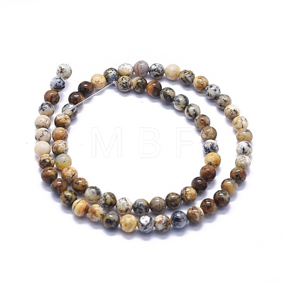 Natural Black Moss Jasper Beads Strands G-K293-F02-B-1