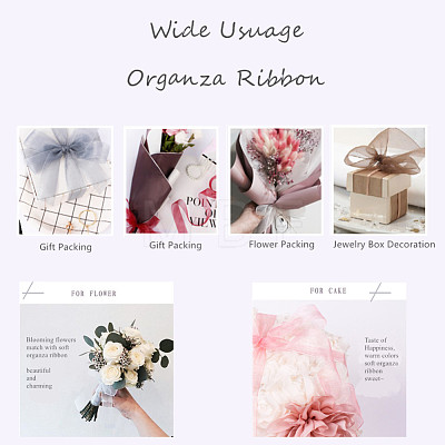 Organza Ribbon RS6mmY015-1