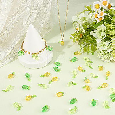 2 Bags Transparent Acrylic Pendants FIND-BM0001-85-1