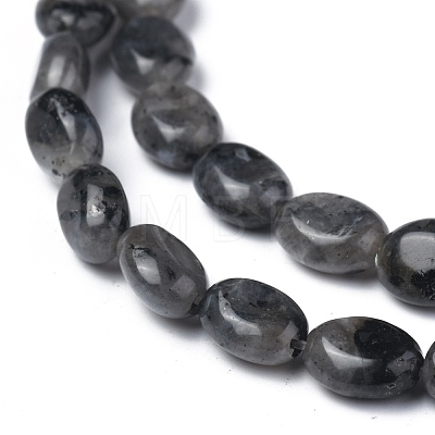 Natural Black Larvikite Beads Strands G-Z006-A03-1