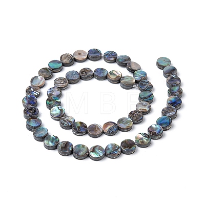 Natural Abalone Shell/Paua Shell Beads Strands SSHEL-G003-5-8x3mm-1