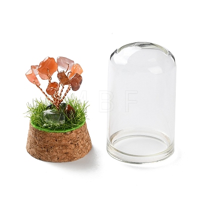 Natural Carnelian Chips Money Tree in Dome Glass Bell Jars with Wood Base Display Decorations DJEW-K030-02F-1