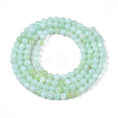 Natural Freshwater Shell Beads Strands X-BSHE-T009A-01D-1