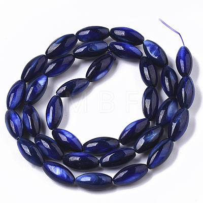 Natural Freshwater Shell Beads SHEL-R047-02B-1