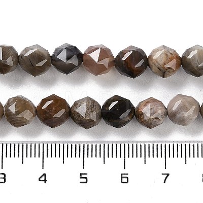 Natural Petrified Wood Beads Strands G-NH0021-A12-01-1