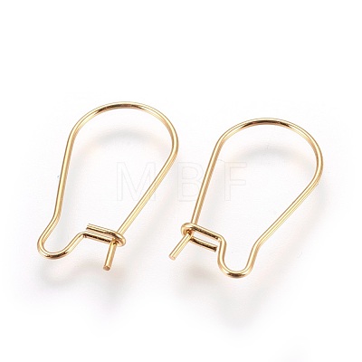 304 Stainless Steel Hoop Earrings X-STAS-P227-13G-1