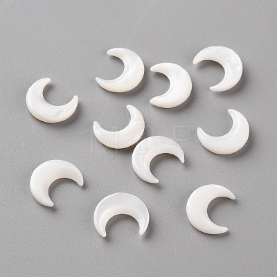 Natural White Shell Beads SSHEL-Q311-004A-02-1