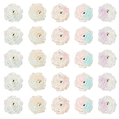 30Pcs 5 Colors Two-tone Resin Charms RESI-TA0005-71-1