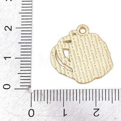 Back to School Alloy Enamel Pendants FIND-E054-02A-1