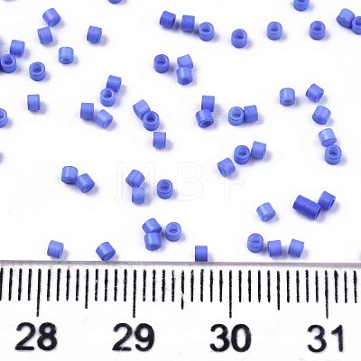 11/0 Grade A Glass Seed Beads SEED-S030-1010-1