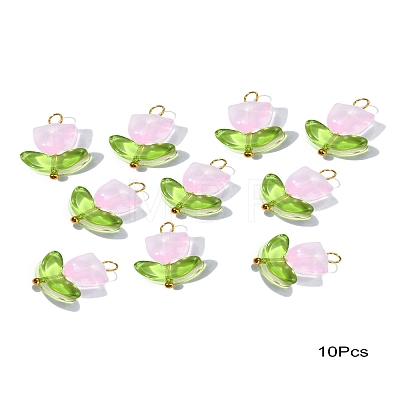 Handmade Lampwork Pendants PALLOY-YW028-04-1