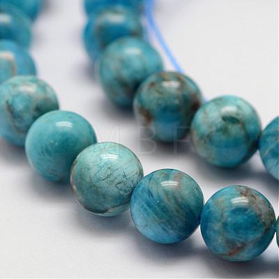 Natural Apatite Beads Strands G-D856-01-8mm-1