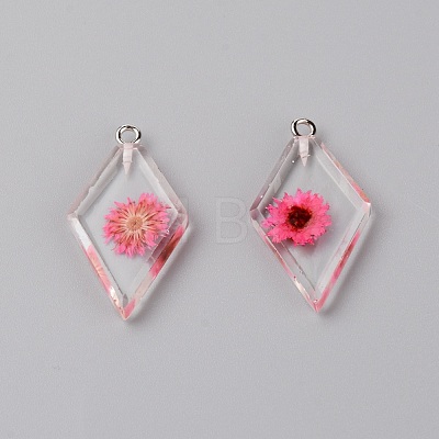 Transparent Clear Resin Pendants RESI-TAC0007-06A-1