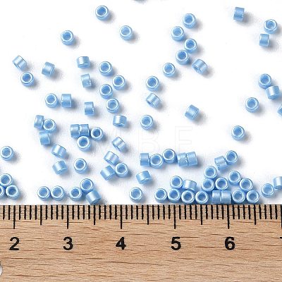 Baking Paint Glass Seed Beads X-SEED-S042-15A-11-1