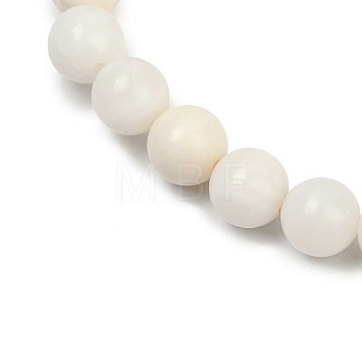 Natural White Shell Beads Strands BSHE-U001-01C-1