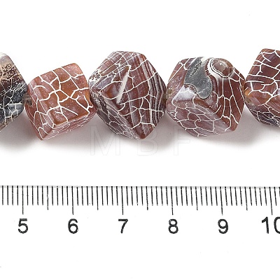 Natural Weathered Agate Beads Strands G-Q169-C04-02A-1