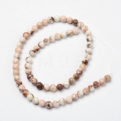 Natural Magnesite Beads Strands TURQ-P027-22-12mm-1
