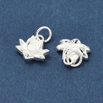 925 Sterling Silver Charms STER-A050-04C-S-1
