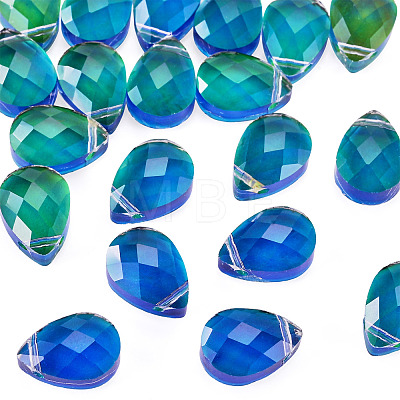 Glass Charms GLAA-TAC0012-28A-1