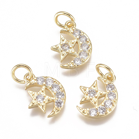 Brass Micro Pave Cubic Zirconia Charms X-ZIRC-F111-20G-1