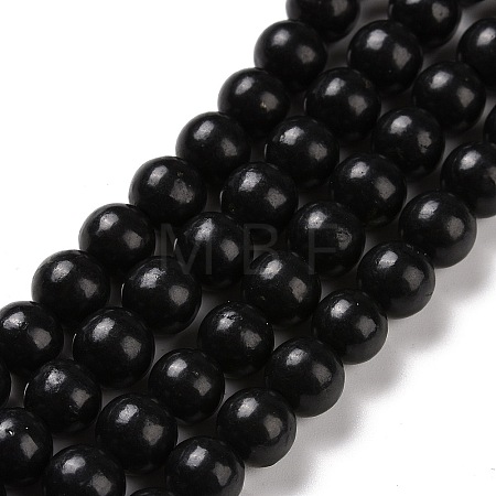 Natural Shungite Beads Strands G-D481-15A-1