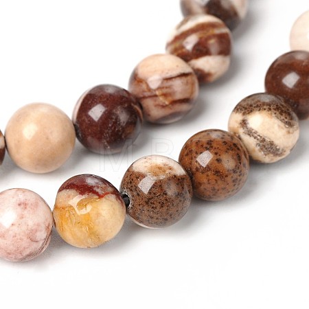 Natural Zebra Jasper Round Bead Strands G-M172-6mm-02-1-1