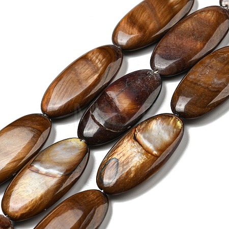 Dyed Natural Freshwater Shell Beads Strands BSHE-G034-23-1