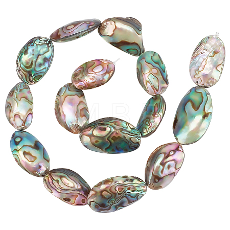 1 Strand Natural Abalone Shell/Paua Shell Beads Strands BSHE-BC0001-16-1