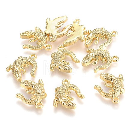 Alloy Pendants TIBEP-A040-015G-NR-1