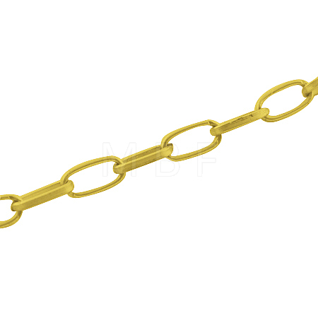 Iron Paperclip Chains CH-R025-15x7mm-G-1