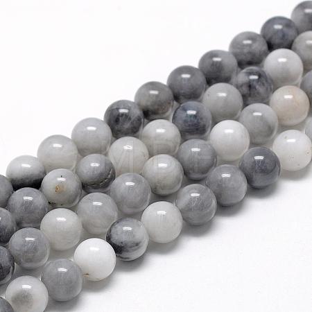 Natural Hawk's Eye Beads Strands G-R446-8mm-17-1