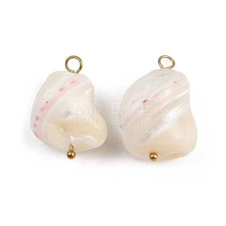 Natural Shell Nuggets Pendants STAS-D378-30G-1