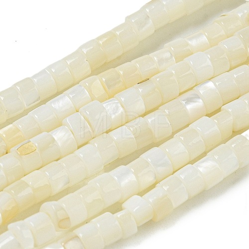 Natural Freshwater Shell Beads Strands BSHE-G039-03-1