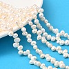 Natural Cultured Freshwater Pearl Beads Strands PEAR-I007-04A-02C-1