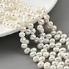 Natural Cultured Freshwater Pearl Beads Strands PEAR-A006-24-2