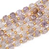 Natural Purple Phantom Quartz/Purple Lodolite Quartz Beads Strands G-Z147-A04-01-2