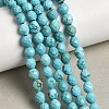 Dyed Natural Howlite Beads Strands G-K376-F06-01-1